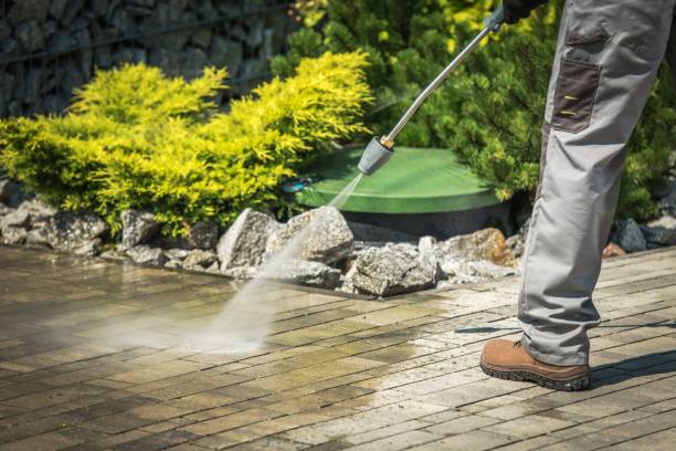 Best Roof Washing  in Rossville, IN